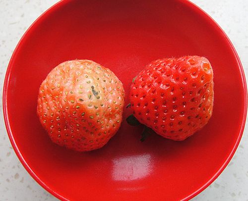 香蕉奶昔的做法