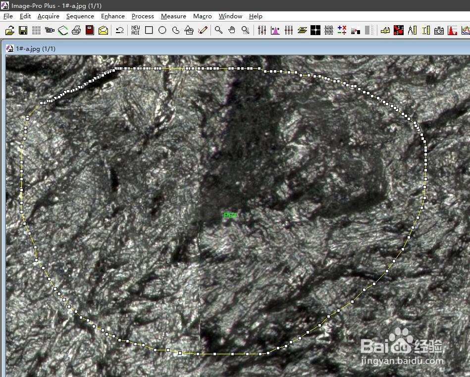 保存image-pro plus（IPP）软件的测量文件