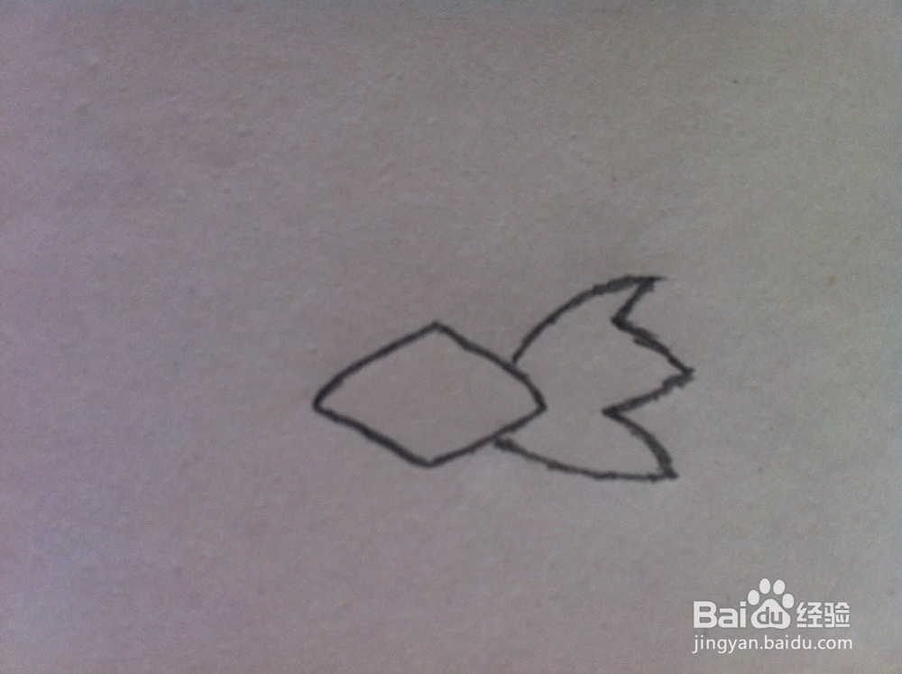 金鱼怎么画——简笔画