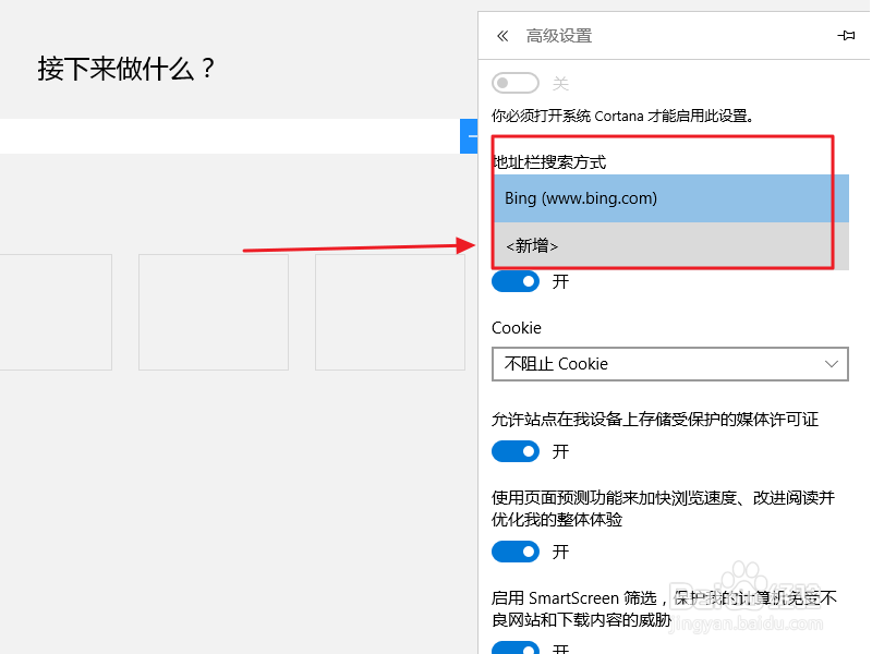 win10浏览器设置主页及使用技巧