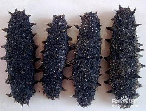 如何分辨假海参