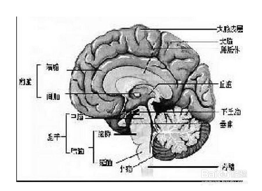 如何从人体表面发现病症并且对症下药