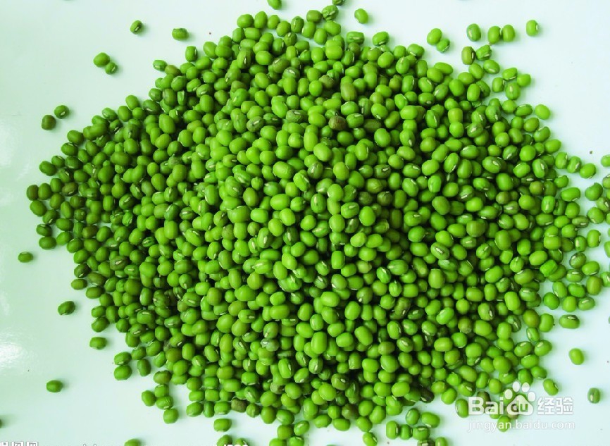 绿豆的食用价值与禁忌