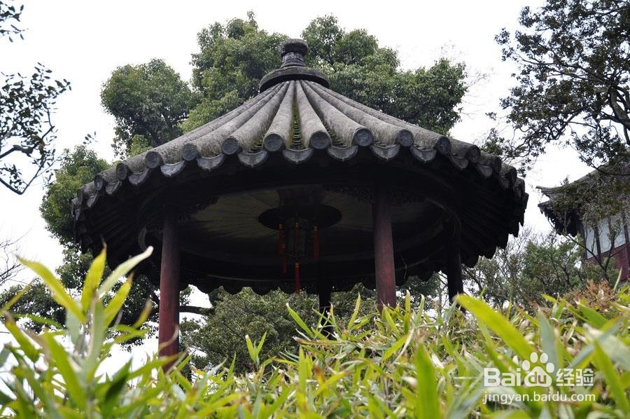 中国园林中亭子的形式和种类