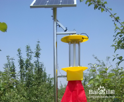 如何选择一款高效能田间杀虫灯？