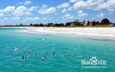 西澳珀斯旅游攻略