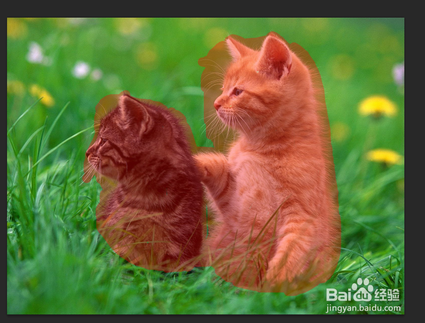 怎么使用PS中的快速蒙版？