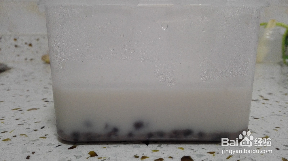 超好吃的椰浆红豆糕