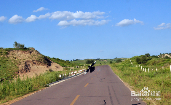 汽车怎样防止静电？人体有怎样去除静电？