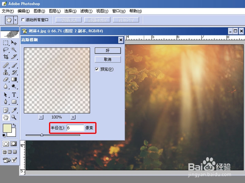 用PHOTOSHOP为树林添加散射光线的效果