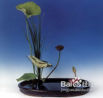 写景的作文需要注意和观察什么