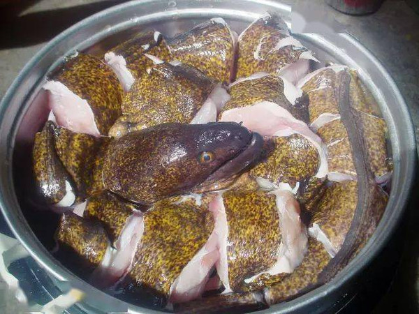 姜葱蒜子白汁焖海鳗