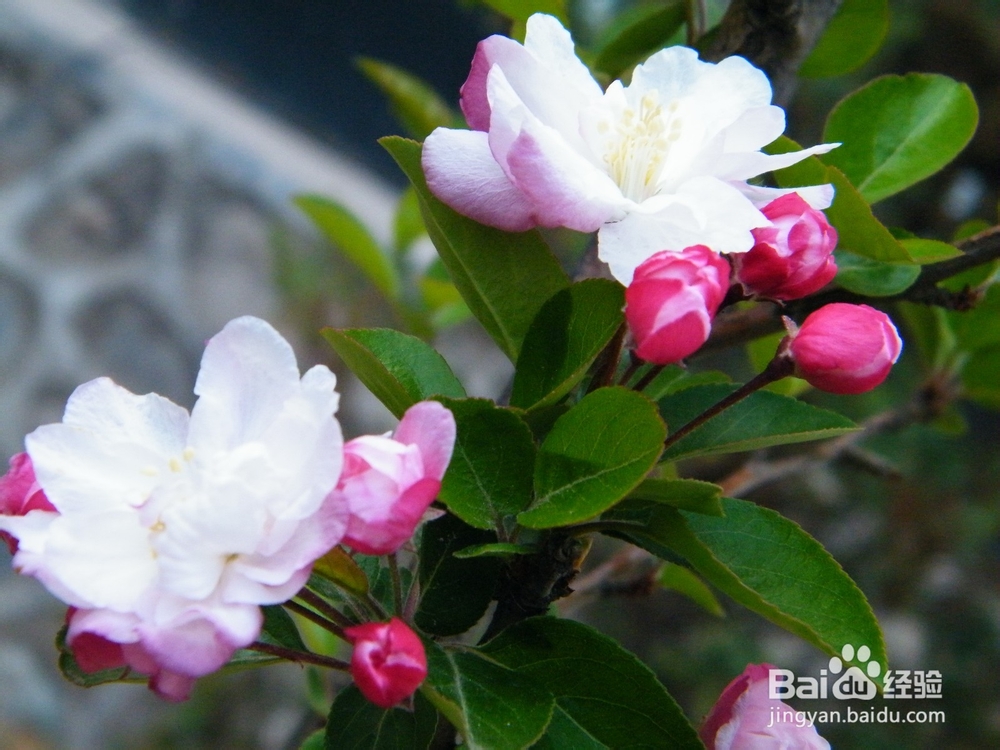 如何在职场和同事相处