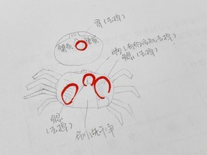 香辣蟹、清蒸蟹的做法