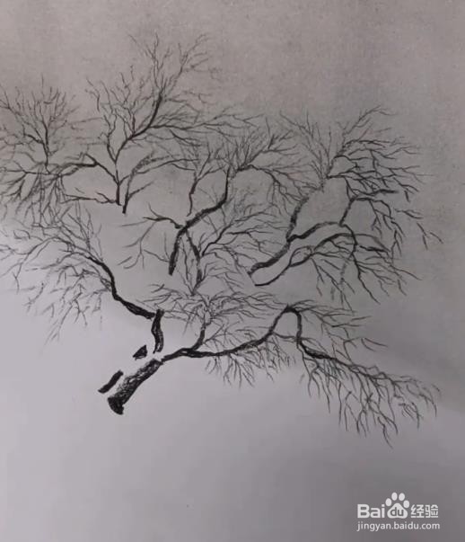 树上结冰怎么画