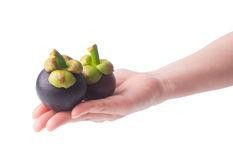 怎么挑山竹好吃