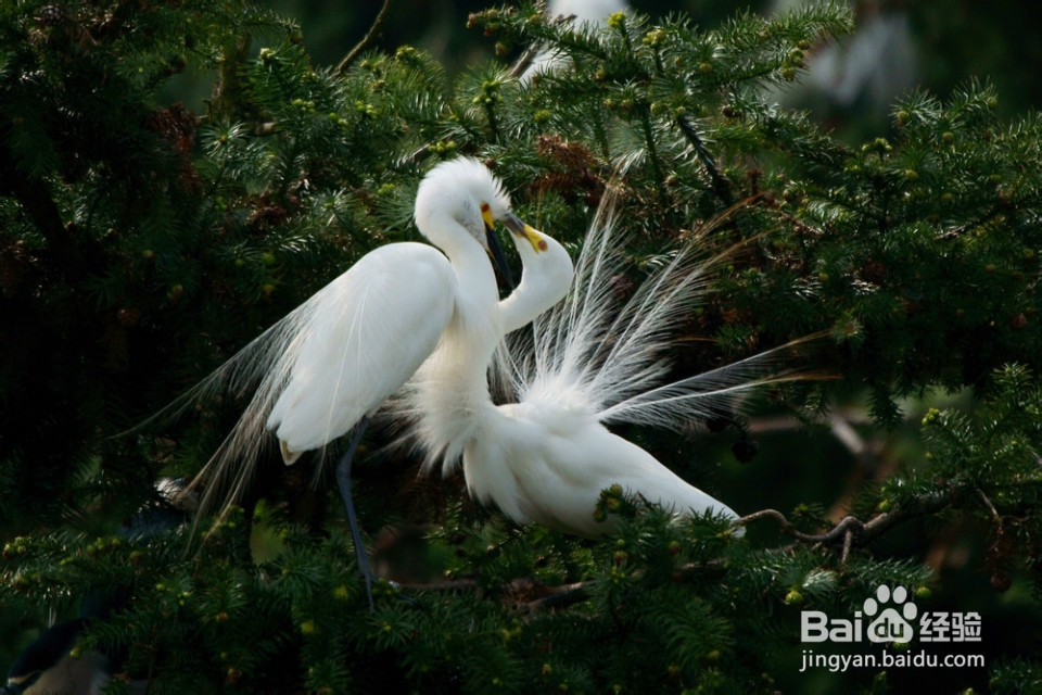 如何确定异性之间的关系