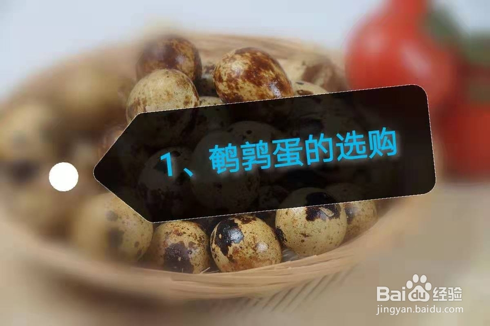 各类蛋的选购技巧及保存方法。