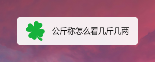 公斤稱怎麼看幾斤幾兩