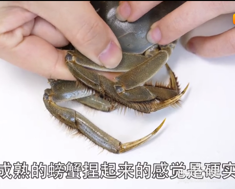 如何挑选大闸蟹才是最新鲜的？