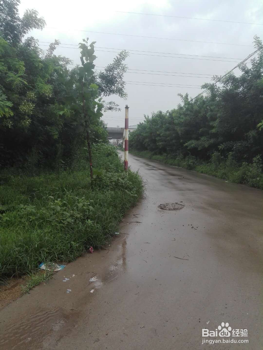 无聊的暑假生活怎么能过的开心和充实？