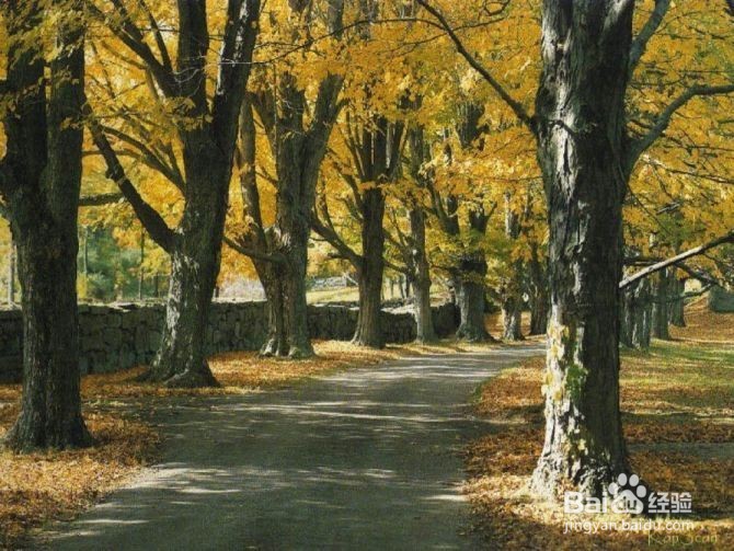 哪几种症状影响高三一轮复习