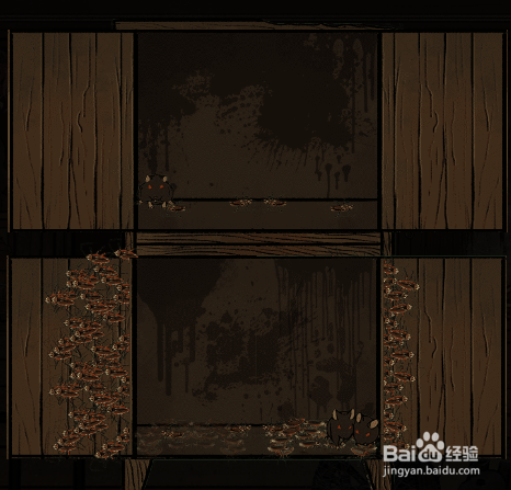 周晓打开楼上的柜子看到了什么？