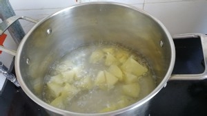 家常菜地三鲜来了