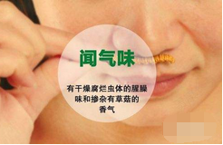 冬虫夏草可以泡水喝吗？