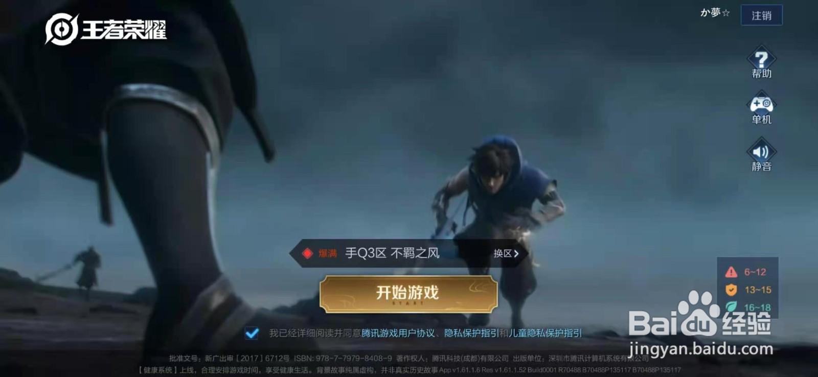王者荣耀中有带婷字的英雄吗