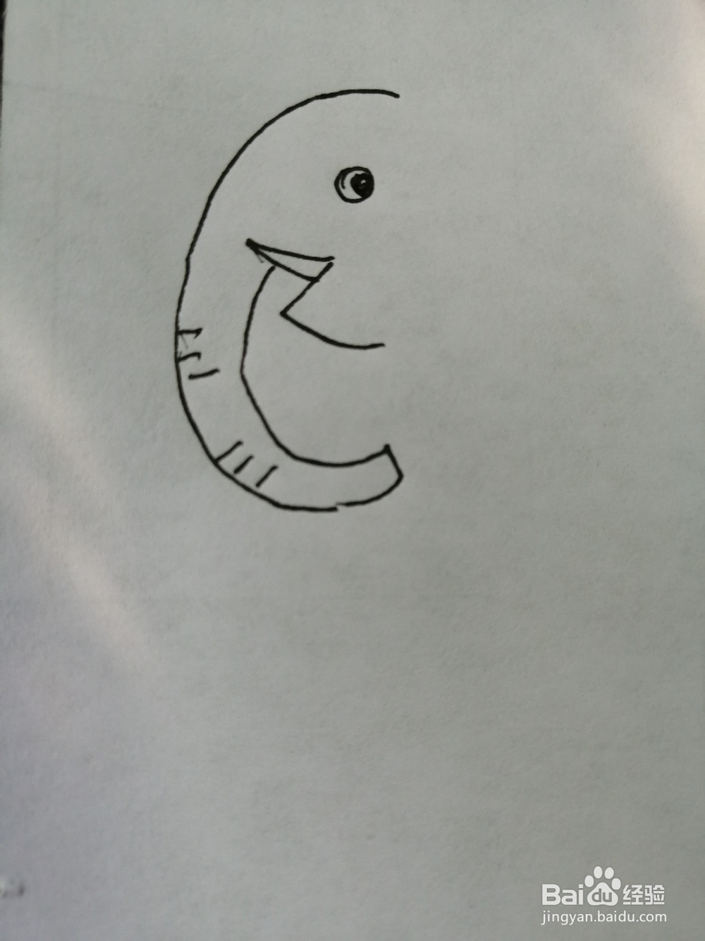 怎么画简笔画可爱的大象