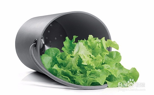 【掌中菜肴】（1）紫菜蛋花汤