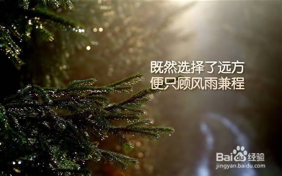 教你在考试中尽可能的多拿分
