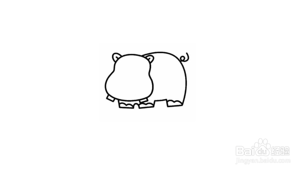 河马简笔画教程