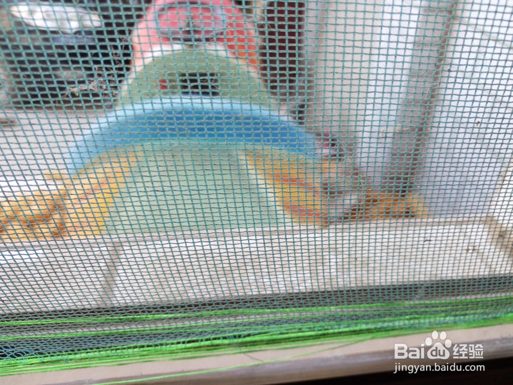 家里窗纱破了的修补方法