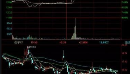 任子行是做什么的