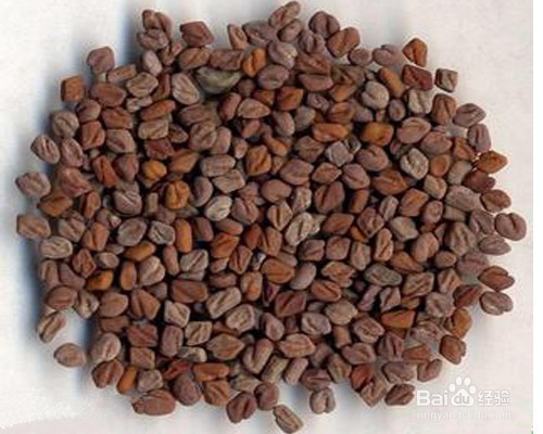 菟丝子甲鱼汤是怎么做的