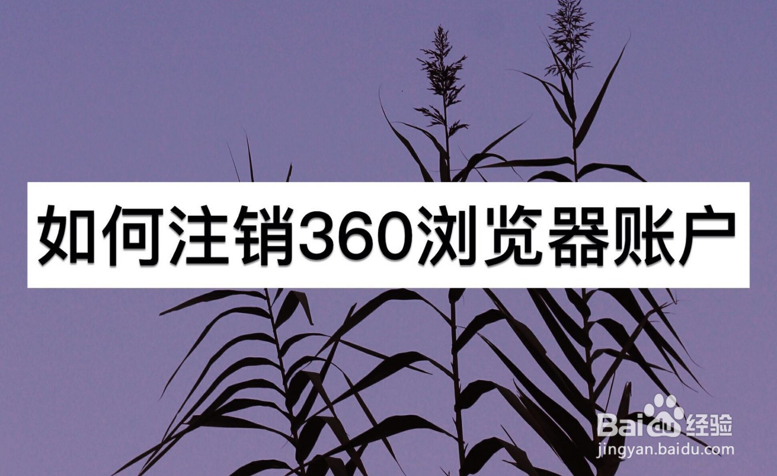 如何注销360浏览器账户