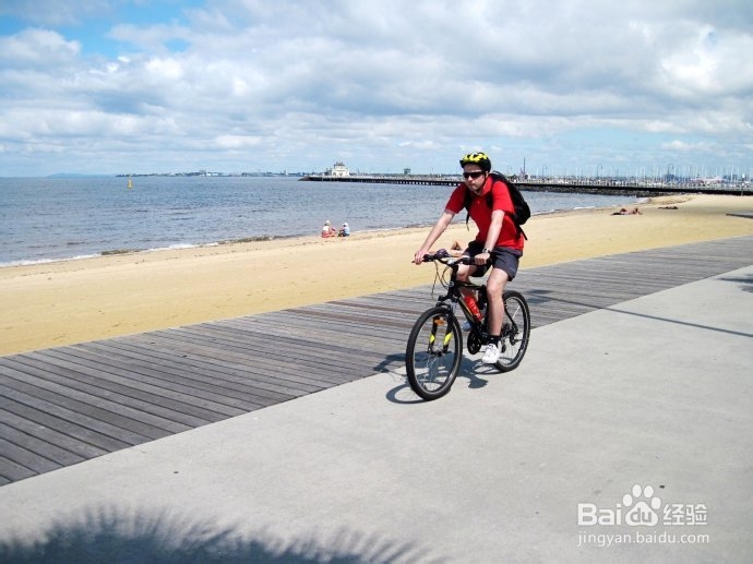 澳洲游记：[22]墨城林荫大道