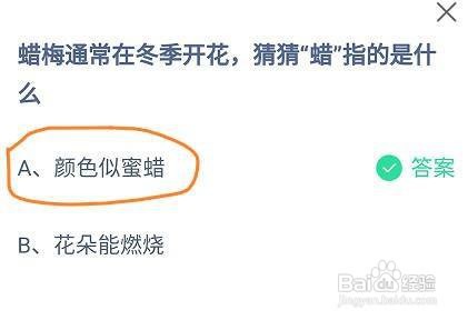 蚂蚁庄园蜡梅通常在冬季开花，