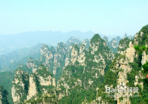 成都到张家界旅游小贴士