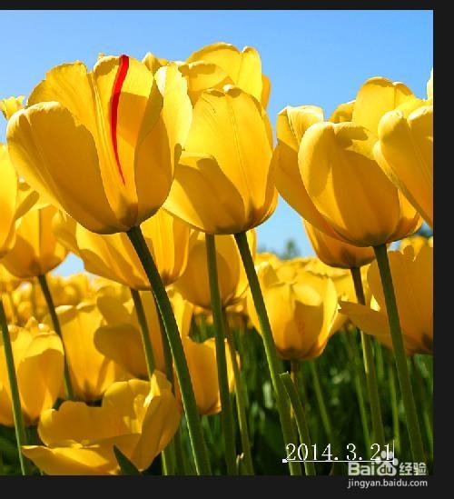 [PS初级零基础]如何用PHOTOSHOP给图片添加文字