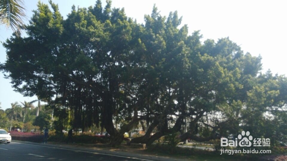 清明，五一 亲的房找到了 吗？来戳这里！