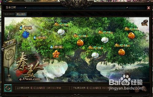 秦美人神树系统玩法介绍