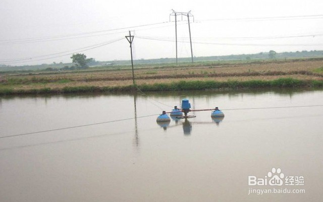 用蚯蚓钓鱼的技巧