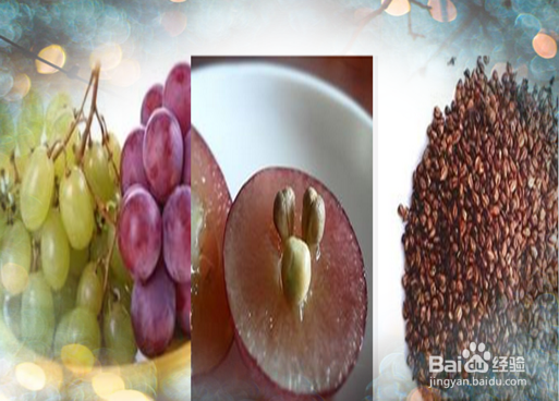 便秘和减肥实用有效喝兰香子柠檬葡萄籽茶