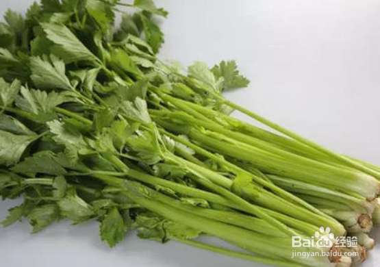 春季种植什么蔬菜大全