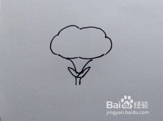 简笔画：牵牛花