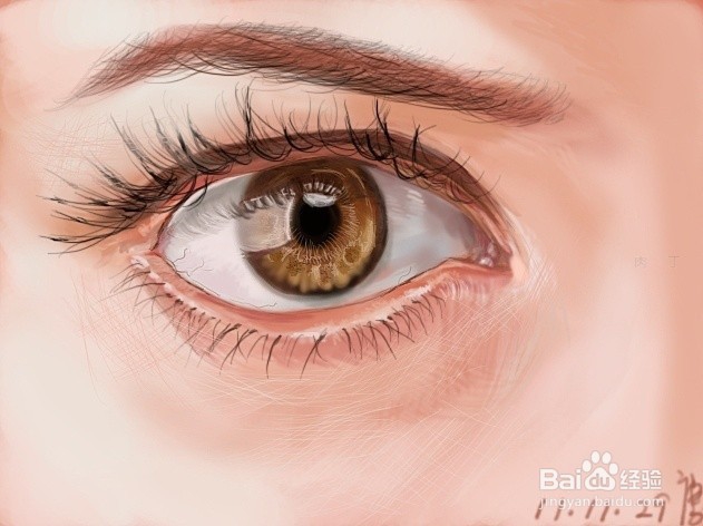 PS插画写实眼睛画法详细步骤图解教程