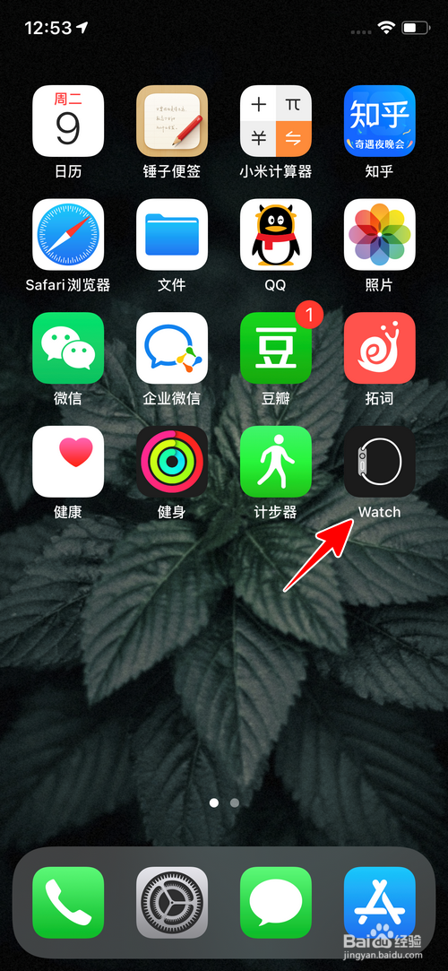 怎样查看苹果手表还剩多少储存空间